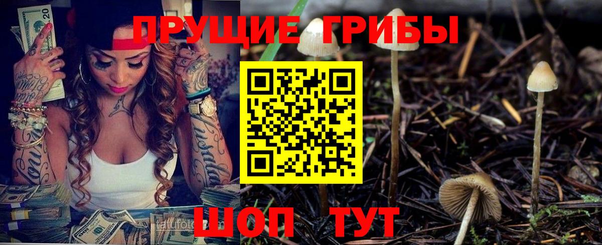 Галлюциногенные грибы Psilocybe Аша