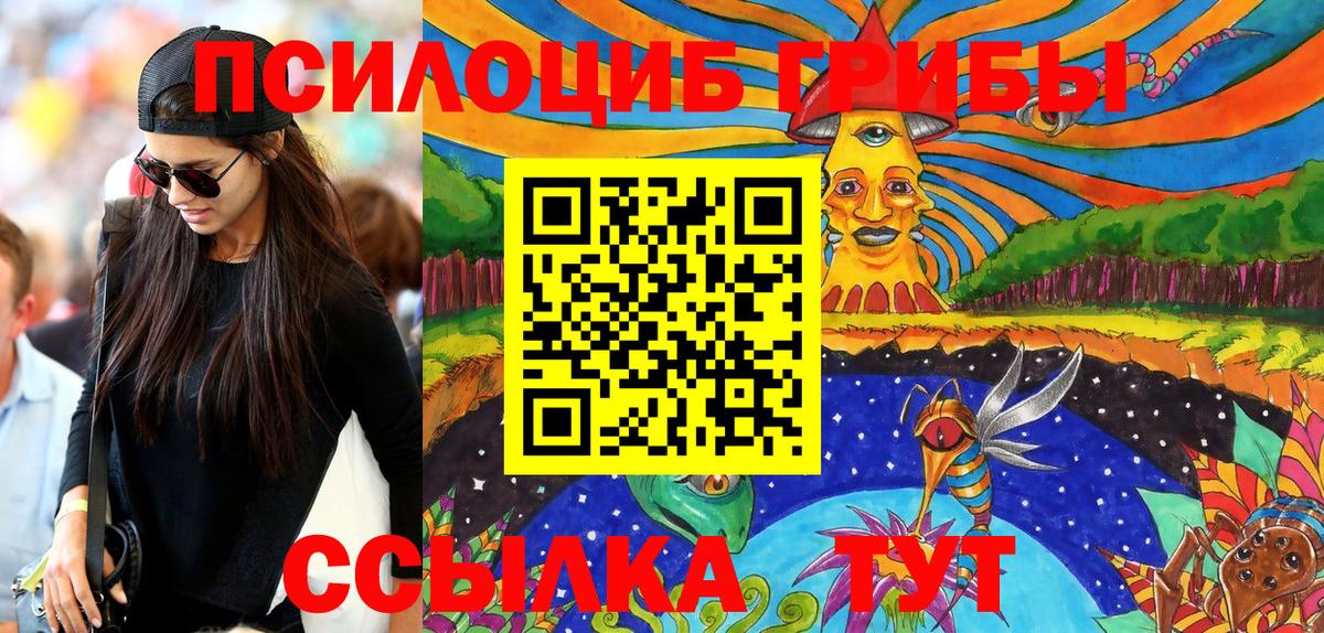 Аша  Галлюциногенные грибы Psilocybe  Вход с VPN 